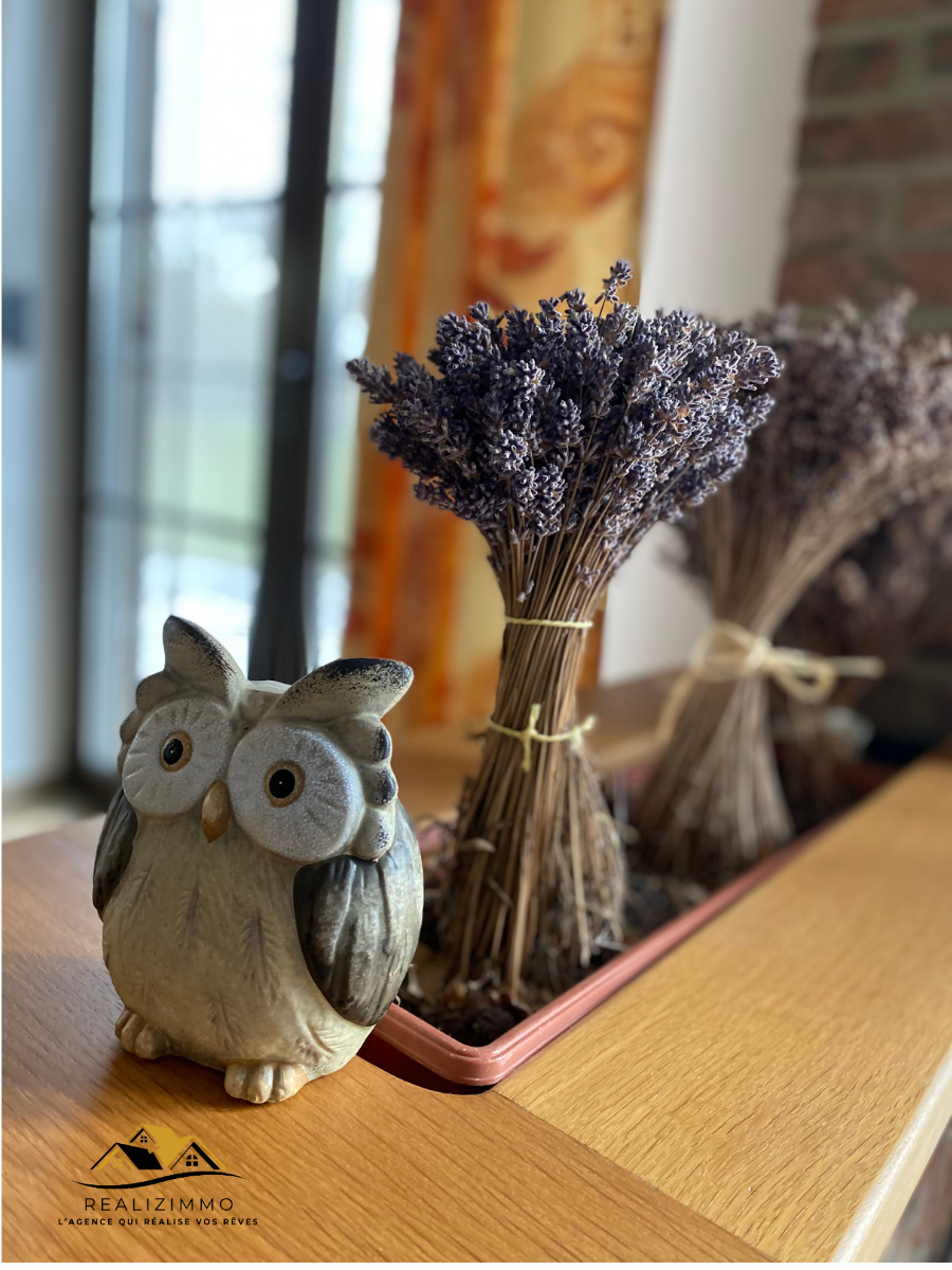 Magnifique villa entourée d’un jardin arboré à Liberchies