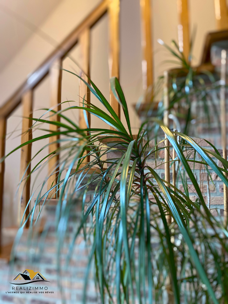 Magnifique villa entourée d’un jardin arboré à Liberchies