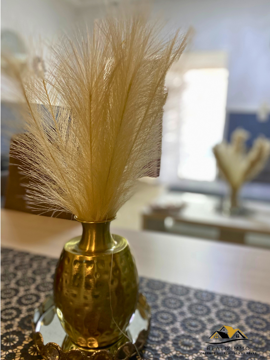 Maison deux façades avec jardin et garage