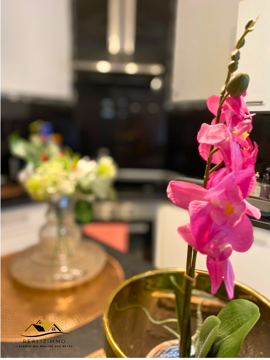 Maison deux façades avec jardin et garage