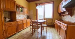Jolie maison de maître à rénover avec grand jardin 