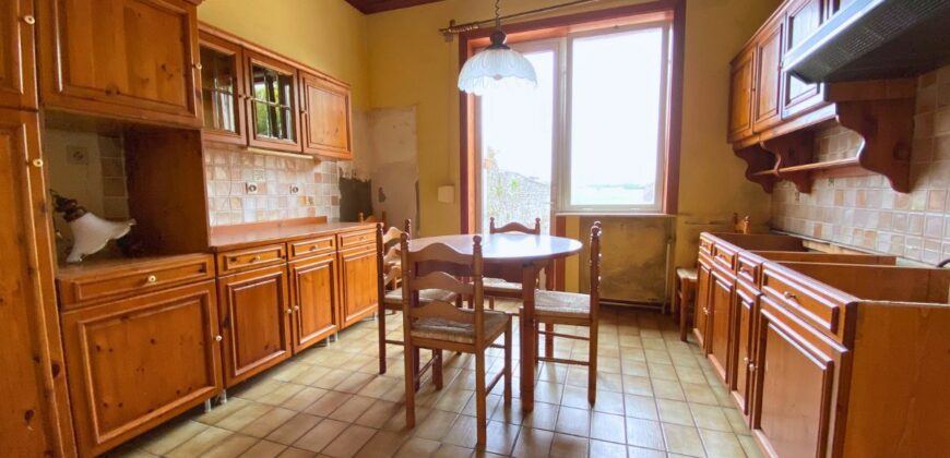 Jolie maison de maître à rénover avec grand jardin 