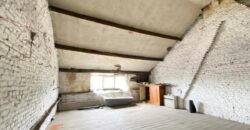 Jolie maison de maître à rénover avec grand jardin 